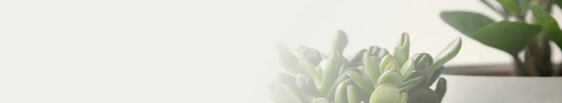 Программа лояльности